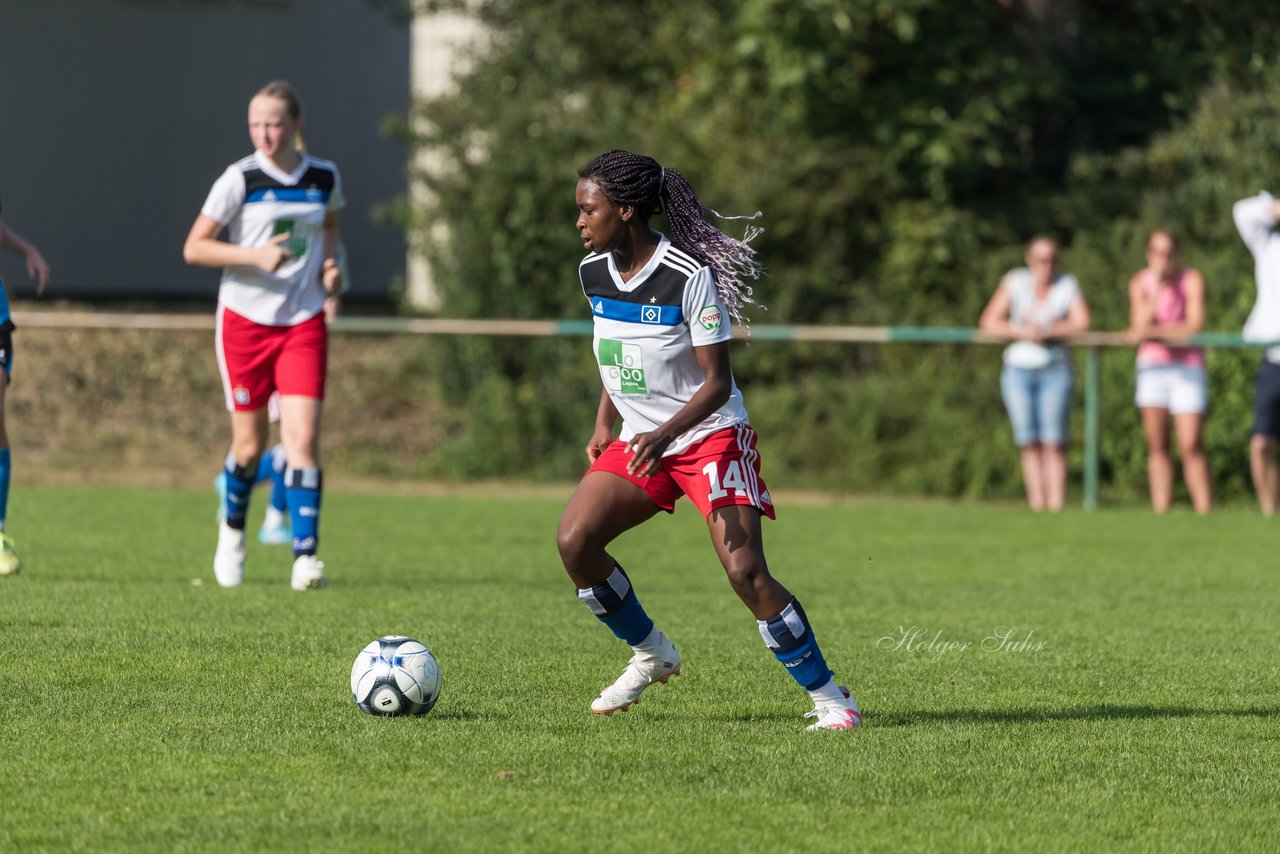 Bild 130 - wBJ VfL Pinneberg - Hamburger SV 2 : Ergebnis: 1:3